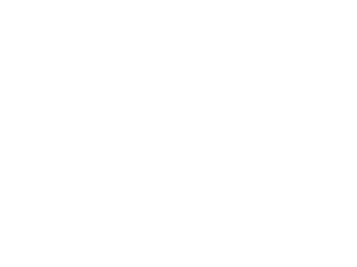 Branch