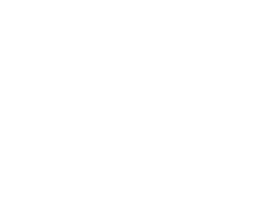 Spark