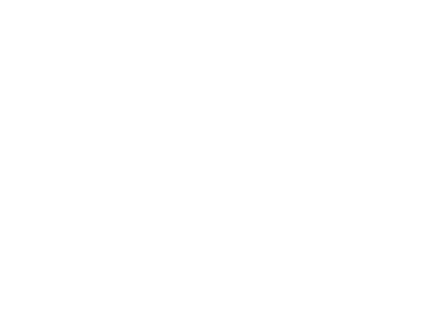 Turtlemint